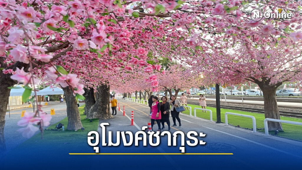 เปิดถนนอุโมงค์ต้นซากุระ"ชิบูย่า"รับลมหนาว