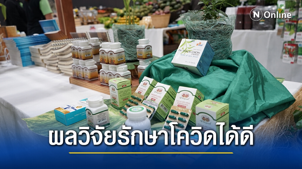 ผลวิจัย"ฟ้าทะลายโจร" รักษา "โควิด19" ได้ผลดี