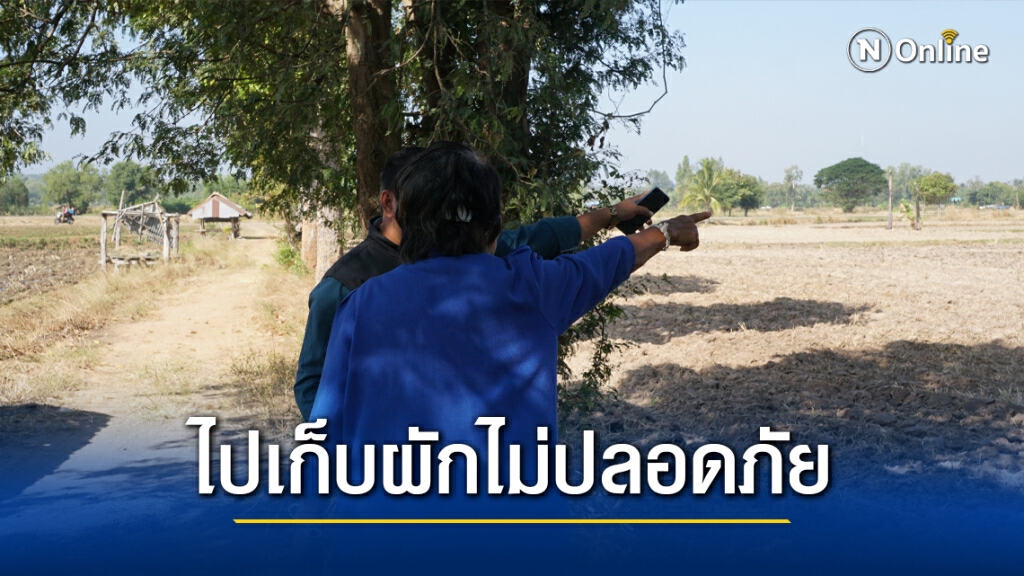 โจ๋โหดเสียมตีหัวยายเลือดอาบขณะไปเก็บผักหาปูนา โจ๋โหดเสียมตีหัวยายเลือดอาบขณะไปเก็บผักหาปูนา