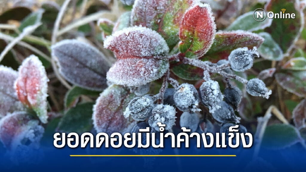พยากรณ์อากาศวันนี้(9 ธ.ค.) ภาคเหนือ-อีสานอากาศหนาว ภาคใต้ฝนลดลง