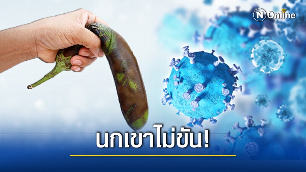 แพทย์อเมริกา เตือน!! ติดโควิด-19 อาจมีผลแทรกซ้อนระยะยาวทำให้นกเขาไม่ขัน