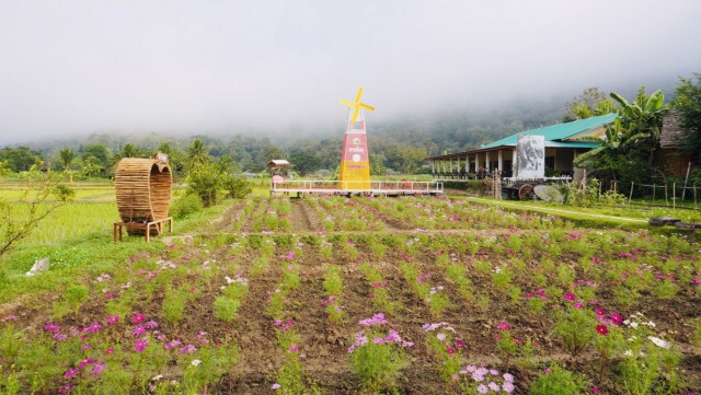 แหล่งเที่ยวใหม่  "สะพานข้าว"บ้านผาบ่อง