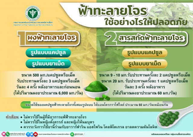 ผลวิจัย"ฟ้าทะลายโจร" รักษา "โควิด19" ได้ผลดี