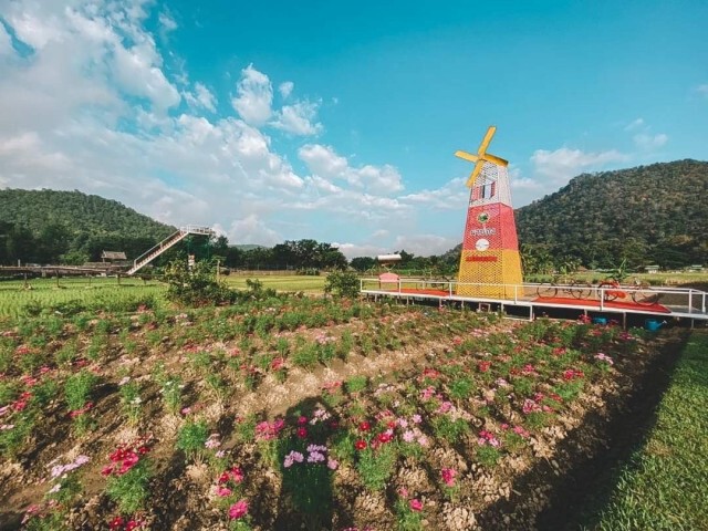 แหล่งเที่ยวใหม่  "สะพานข้าว"บ้านผาบ่อง