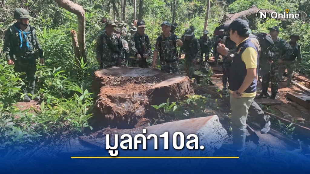มอดไม้ลอบตัดตะเคียน-สักทองจนท.ตามยึดมูลค่ากว่า10ล.