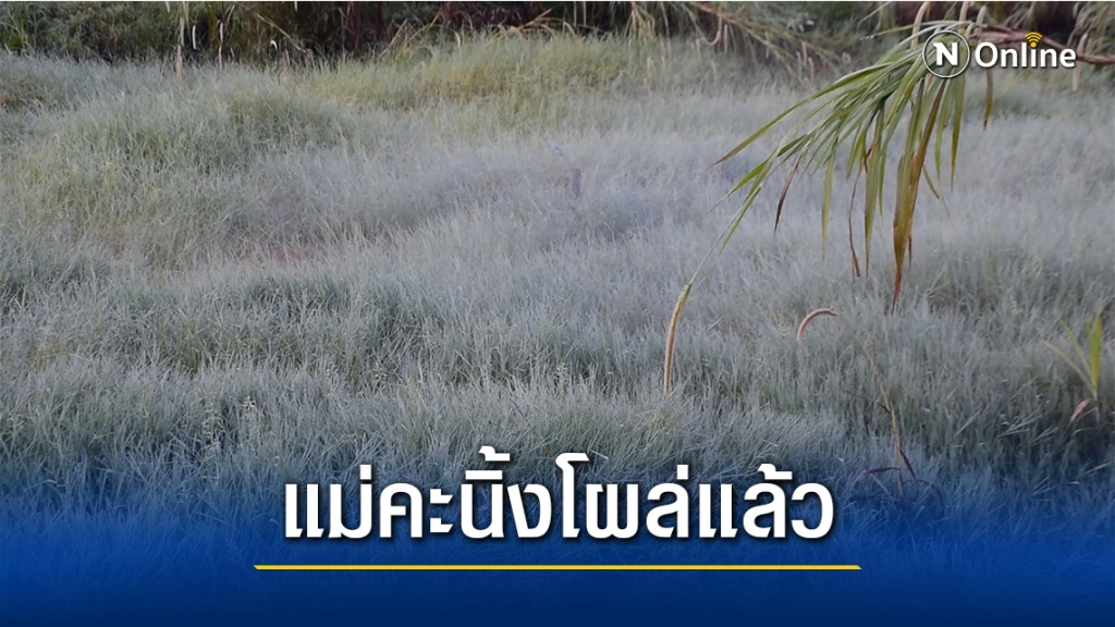 แม่คะนิ้งแรกโผล่ที่บ้านใหม่ร่องกล้า