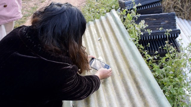 แม่คะนิ้งแรกโผล่ที่บ้านใหม่ร่องกล้า