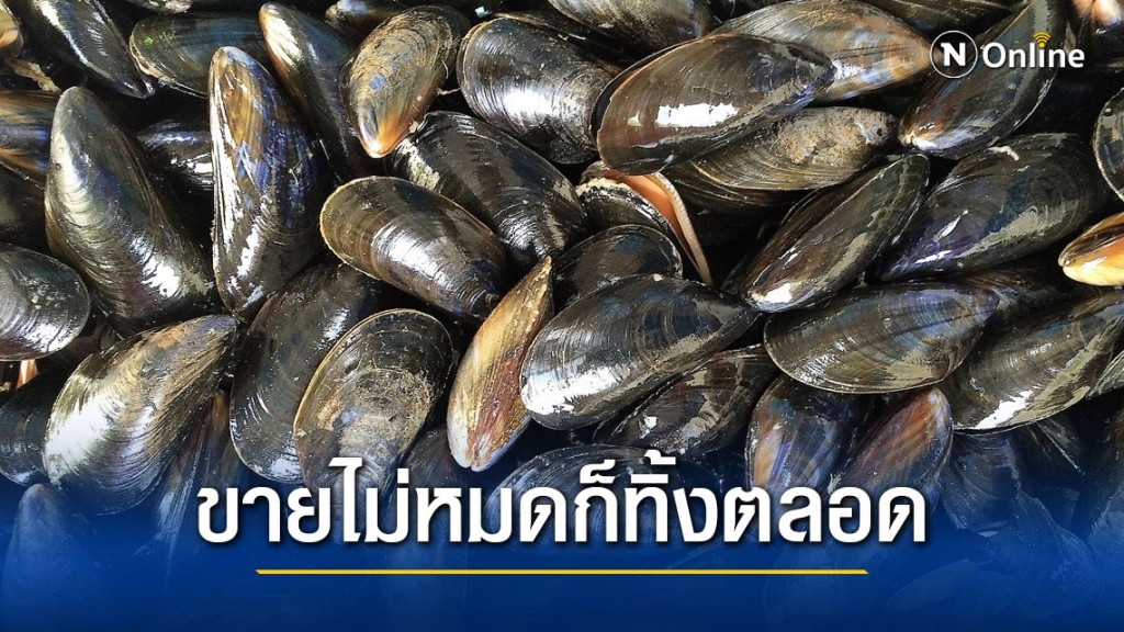 เจ้าของร้านหอย เปิดใจ ปมชายซื้อหอยแมลงภู่ ไปกินแล้วเสียชีวิต ยันขายไม่หมดก็ทิ้งตลอด