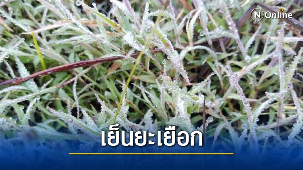 นักท่องเที่ยวทะลักขึ้นพิชิตยอดภูกระดึงชมแม่คะนิ้งวันที่สอง