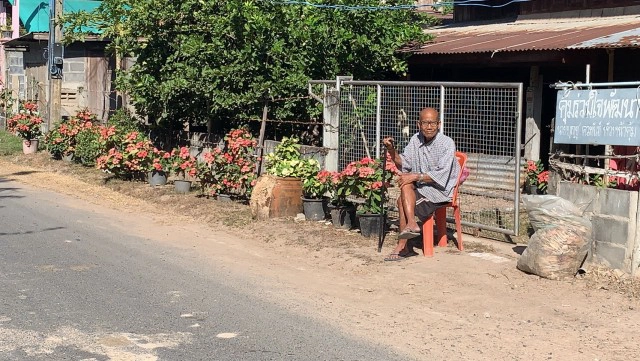 อากาศหนาว คนผิงไฟ ไก่ผิงแดด
