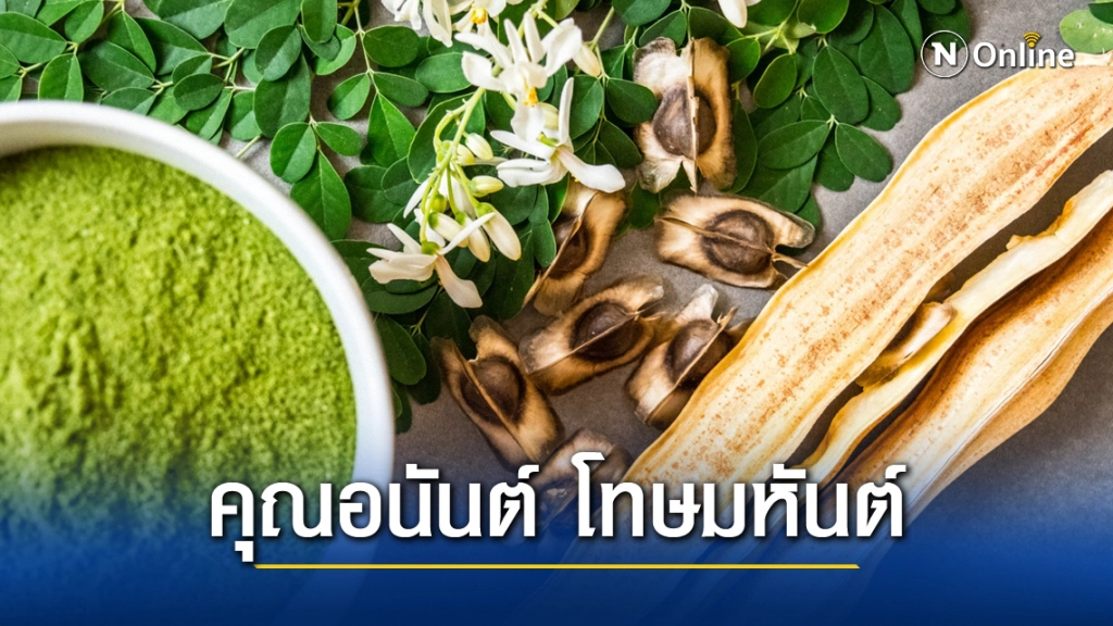 ข้อพึงระวัง!! การบริโภค"มะรุม"ผักสารพัดประโยชน์