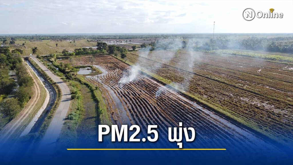 ชาวนาลักลอบเผาตอซังข้าวค่า PM 2.5 พุ่ง ชาวนาลักลอบเผาตอซังข้าวค่า PM 2.5 พุ่ง