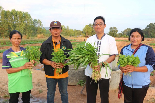 ชาวบ้านยิ้มออกโครงการปิดทองหลังพระสร้างอาชีพรายได้