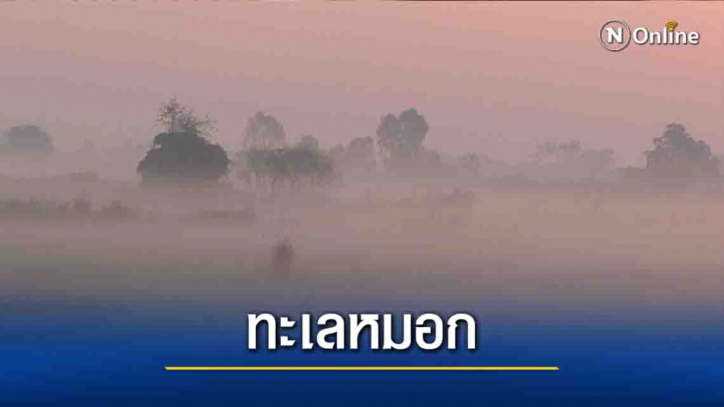 สวยงาม!"ทะเลหมอก"กลางทุ่งนา สวยงาม!"ทะเลหมอก"กลางทุ่งนา