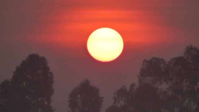 สวยงาม!"ทะเลหมอก"กลางทุ่งนา