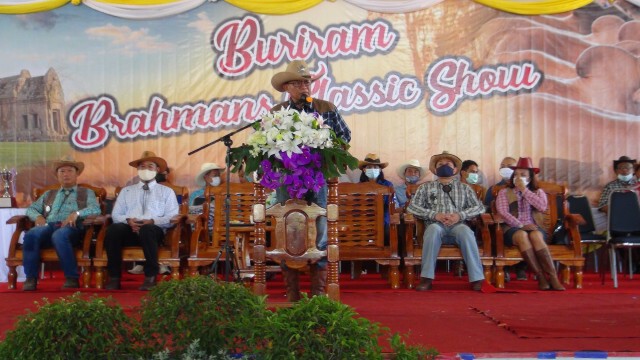 จัดประกวดโคพันธุ์อเมริกันบราห์มันเพิ่มทางเลือกเกษตรกรเลี้ยงโคเนื้อ