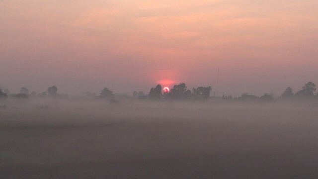 สวยงาม!"ทะเลหมอก"กลางทุ่งนา