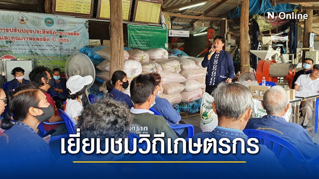 ''กรมการข้าว'' นำสื่อเยี่ยมชมนาแปลงใหญ่ศูนย์ข้าวชุมชน จ.กาญจนบุรี เยี่ยมชมวิถีเกษตรกร ''กรมการข้าว'' นำสื่อเยี่ยมชมนาแปลงใหญ่ศูนย์ข้าวชุมชน จ.กาญจนบุรี เยี่ยมชมวิถีเกษตรกร