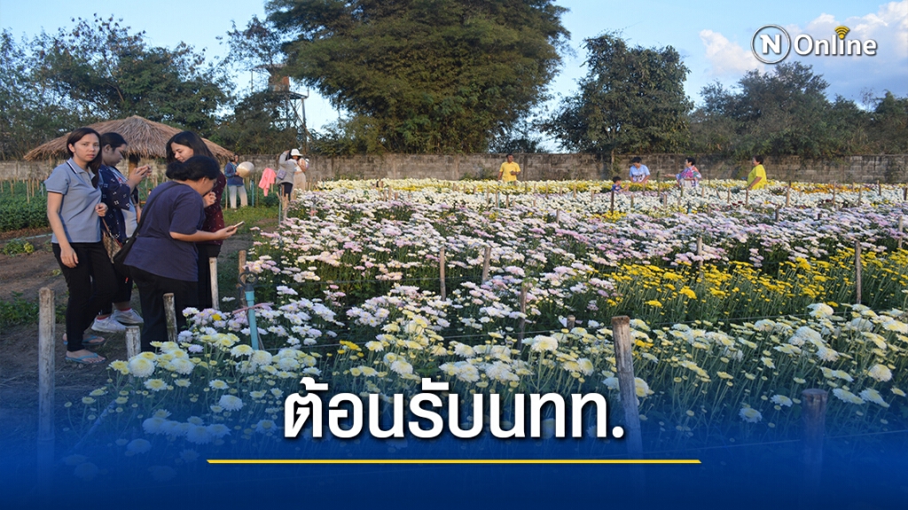เนรมิตสวนดอกไม้10ไร่ ต้อนรับนทท.ถ่ายรูป-เซลฟี่ เนรมิตสวนดอกไม้10ไร่ ต้อนรับนทท.ถ่ายรูป-เซลฟี่