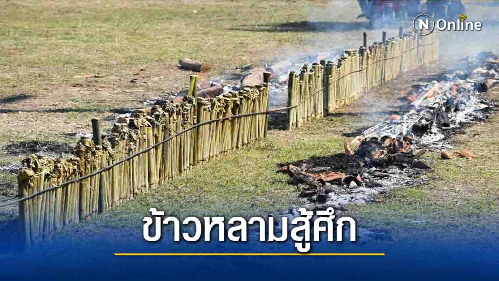 สืบสานประเพณี"เผาข้าวหลามข้าวเหนียวใหม่
