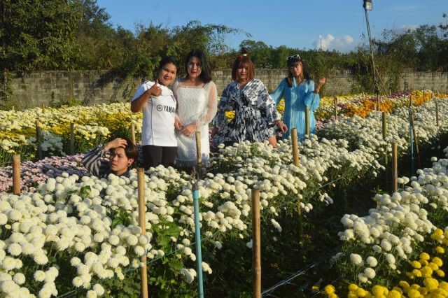 เนรมิตสวนดอกไม้10ไร่ ต้อนรับนทท.ถ่ายรูป-เซลฟี่