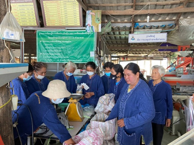 ''กรมการข้าว'' นำสื่อเยี่ยมชมนาแปลงใหญ่ศูนย์ข้าวชุมชน จ.กาญจนบุรี เยี่ยมชมวิถีเกษตรกร