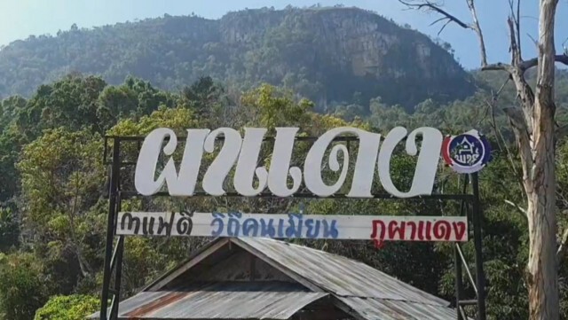 ชาวเขาเผ่าเมี่ยนหันปลูกกาแฟสร้างรายได้งาม