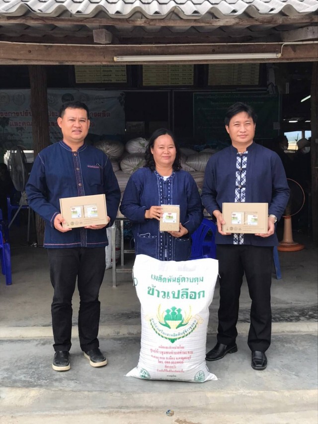 ''กรมการข้าว'' นำสื่อเยี่ยมชมนาแปลงใหญ่ศูนย์ข้าวชุมชน จ.กาญจนบุรี เยี่ยมชมวิถีเกษตรกร