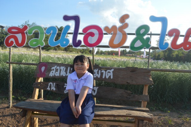 เนรมิตสวนดอกไม้10ไร่ ต้อนรับนทท.ถ่ายรูป-เซลฟี่