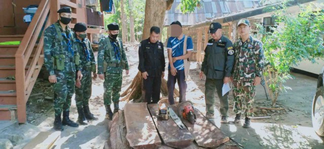 ปิดล้อม4เป้าหมาย-กวาดล้างไม้เถื่อน