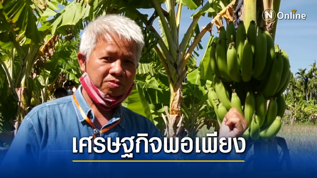 สร้างคนต้นแบบ "โคก หนอง นา โมเดล" สร้างคนต้นแบบ "โคก หนอง นา โมเดล"