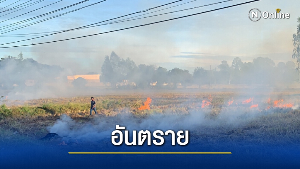 ชาวบ้านแตกตื่น พ่อเฒ่าเผานาควันขี้เถ้าปลิวเข้าหมู่บ้าน