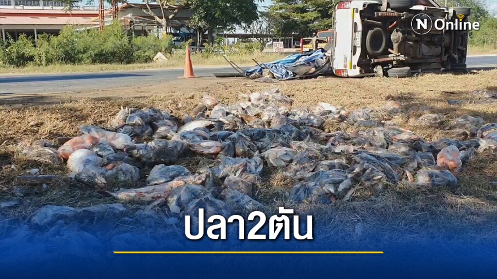 กระบะบรรทุกยางระเบิด ปลา2ตันกระจายเกลื่อนถนน กระบะบรรทุกยางระเบิด ปลา2ตันกระจายเกลื่อนถนน