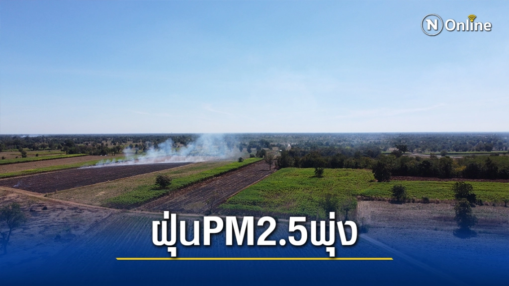 อีกแล้ว!!ชาวไร่ข้าวโพดเผาตอซังทำค่าฝุ่นPM 2.5 พุ่ง