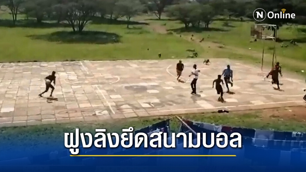 ลิงบาบูน ยกพลบุกยึดสนามฟุตบอลของมนุษย์ ลิงบาบูน ยกพลบุกยึดสนามฟุตบอลของมนุษย์