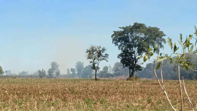 อีกแล้ว!!ชาวไร่ข้าวโพดเผาตอซังทำค่าฝุ่นPM 2.5 พุ่ง