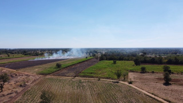 อีกแล้ว!!ชาวไร่ข้าวโพดเผาตอซังทำค่าฝุ่นPM 2.5 พุ่ง