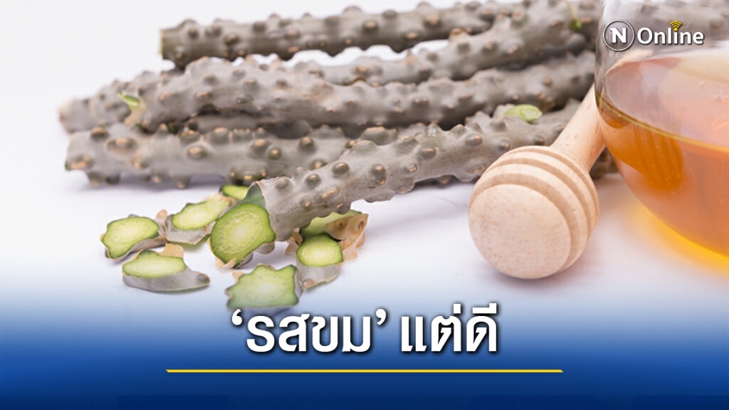ทำความรู้จัก "บอระเพ็ด" ลดวามดัน-เบาหวาน ป้องกันสมองเสื่อม