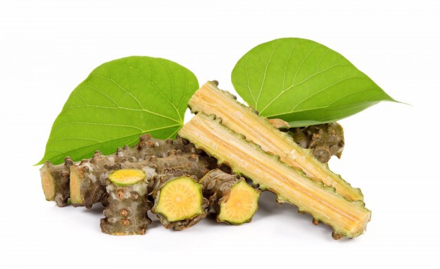 ทำความรู้จัก "บอระเพ็ด" ลดวามดัน-เบาหวาน ป้องกันสมองเสื่อม