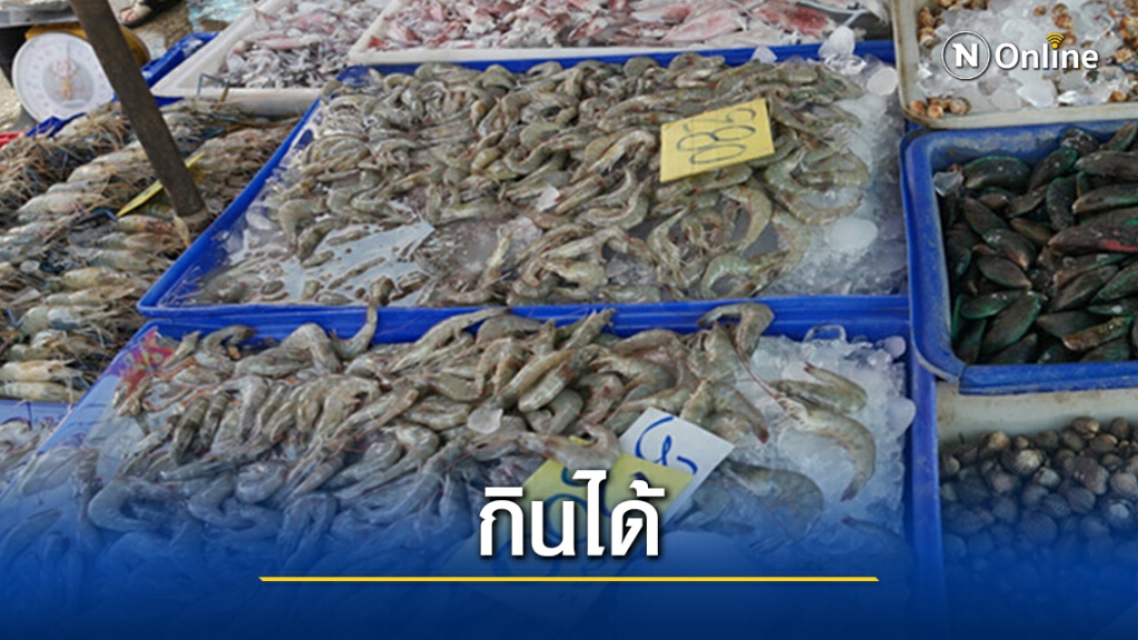 รัฐมนตรีผสานเสียงยันอาหารทะเลกินได้ไม่ใช่ตัวแพร่เชื้อโควิด-19