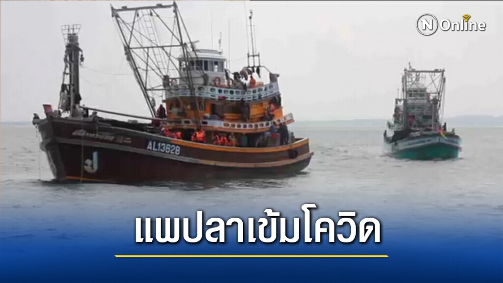 แพปลากระบี่เข้มคัดกรองโควิด 19 แพปลากระบี่เข้มคัดกรองโควิด 19