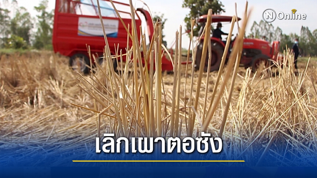 รณรงค์ใช้เครื่องจักรตัดซังข้าวแทนการเผาลด PM2.5