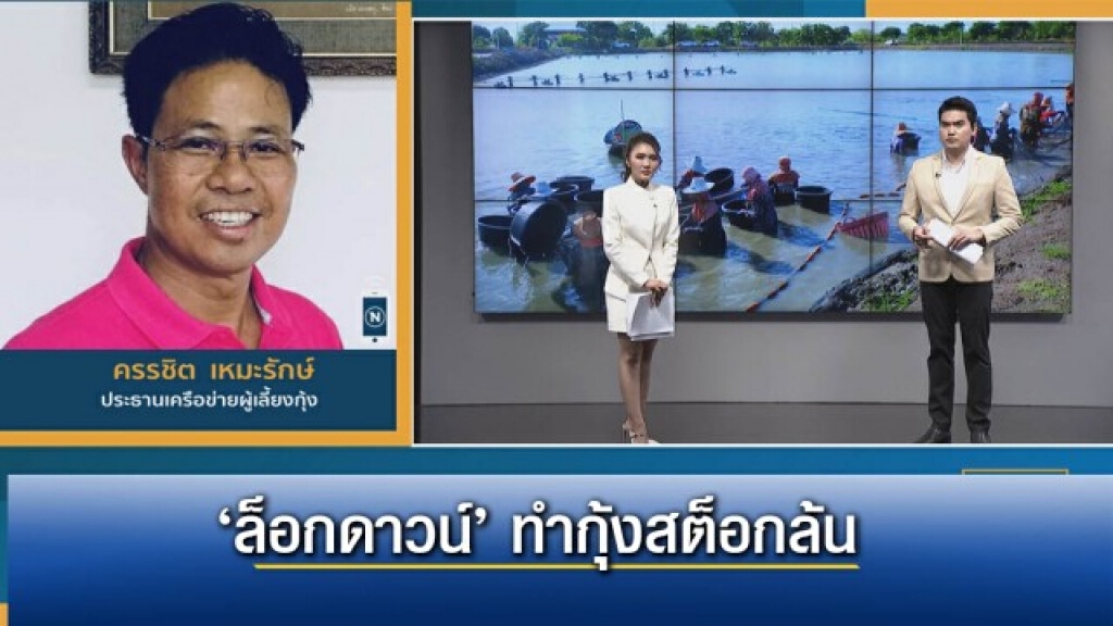 ล็อกดาวน์ ‘สมุทรสาคร’ ทำกุ้งสต็อกล้น ล็อกดาวน์ ‘สมุทรสาคร’ ทำกุ้งสต็อกล้น