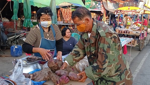 ชาวพิมายแห่ดู"มันตีนเสือ"รูปร่างแปลกประหลาด