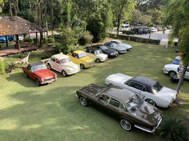 ชมโชว์รถโบราณสู้โควิด