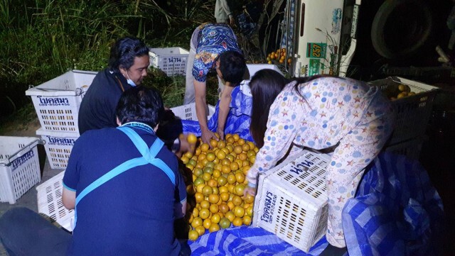 หวั่นล็อคดาวน์-รถบรรทุกส้มแหกโค้งหวิดตกเหว