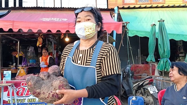 ชาวพิมายแห่ดู"มันตีนเสือ"รูปร่างแปลกประหลาด