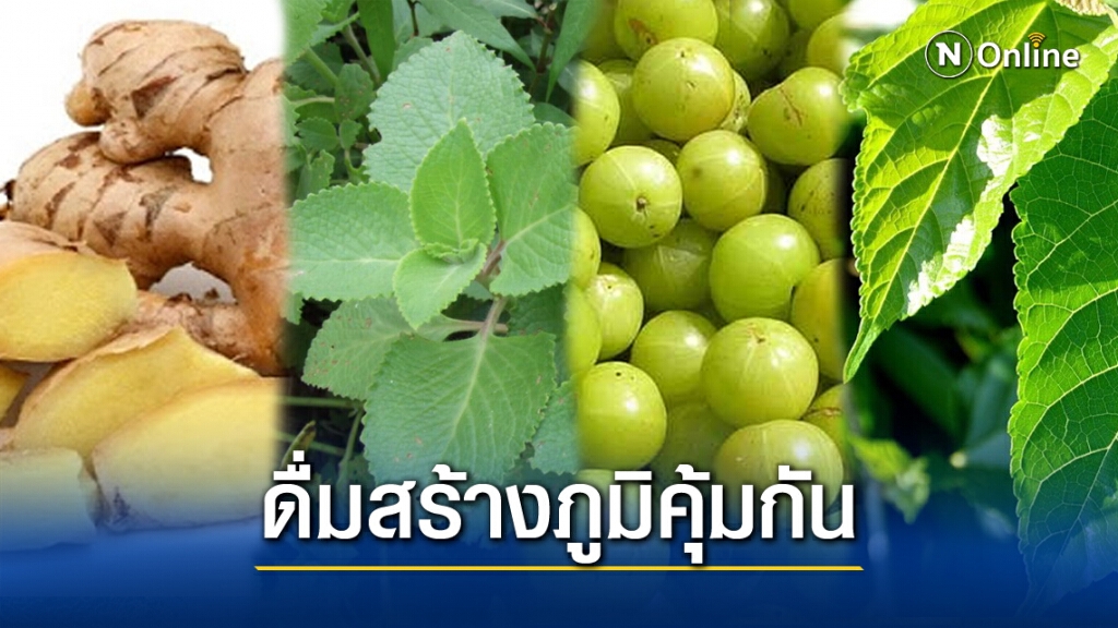 เผย 4 สมุนไพร ช่วยกระตุ้นภูมิ ป้องกันหวัด-บำรุงปอด