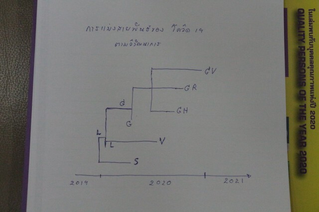 "หมอยง" แจงการเปลี่ยนแปลงสายพันธุ์ "โควิด-19" ตามวิวัฒนาการ