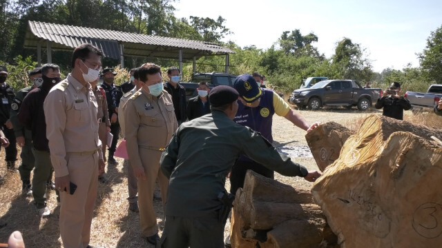 อายัดไม้สัก36ท่อน-อายุเกือบร้อยปี